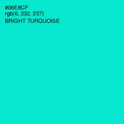 #06E8CF - Bright Turquoise Color Image